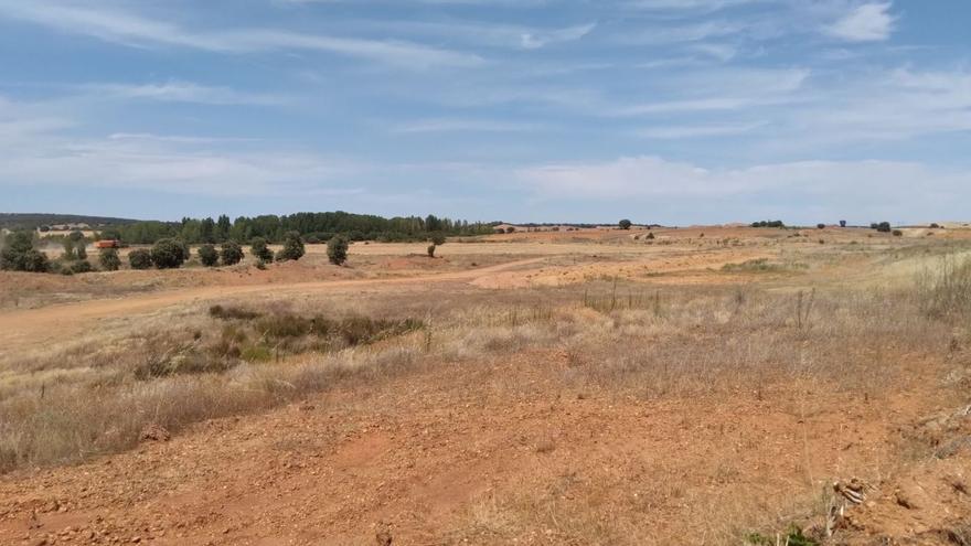 Terrenos en Granja de Moreruela donde está prevista la construcción de una de las plantas.