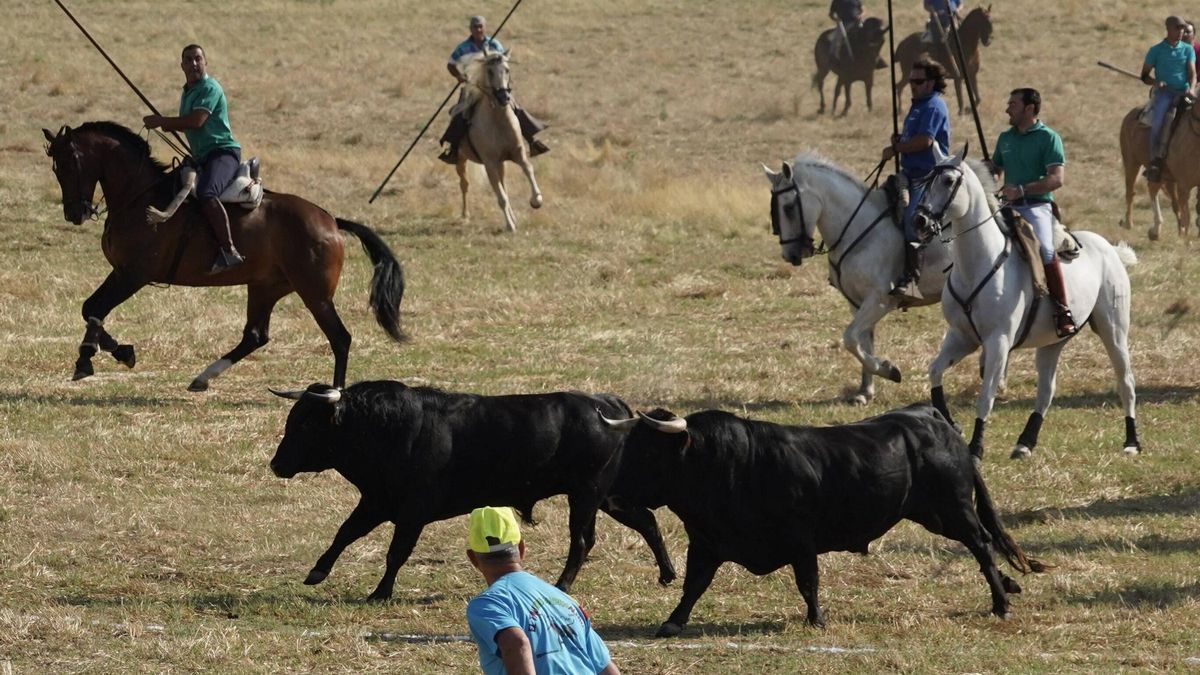 GALERÍA | Fuentesaúco vibra con sus tradicionales espantes