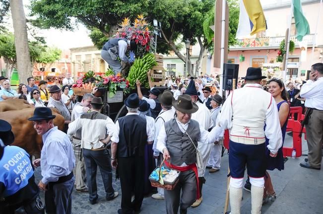 Romería de Santiago de Gáldar 2016.