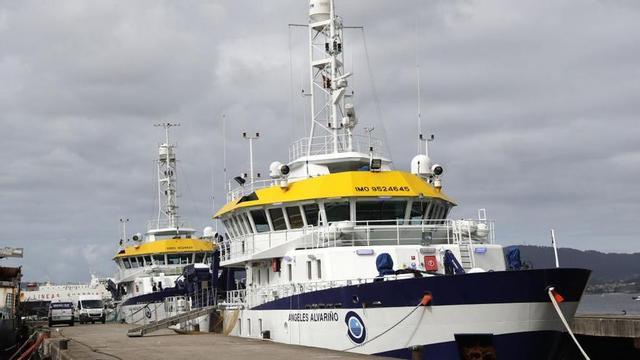 El "Ángeles Alvariño", en el puerto vigués. // J. Lores
