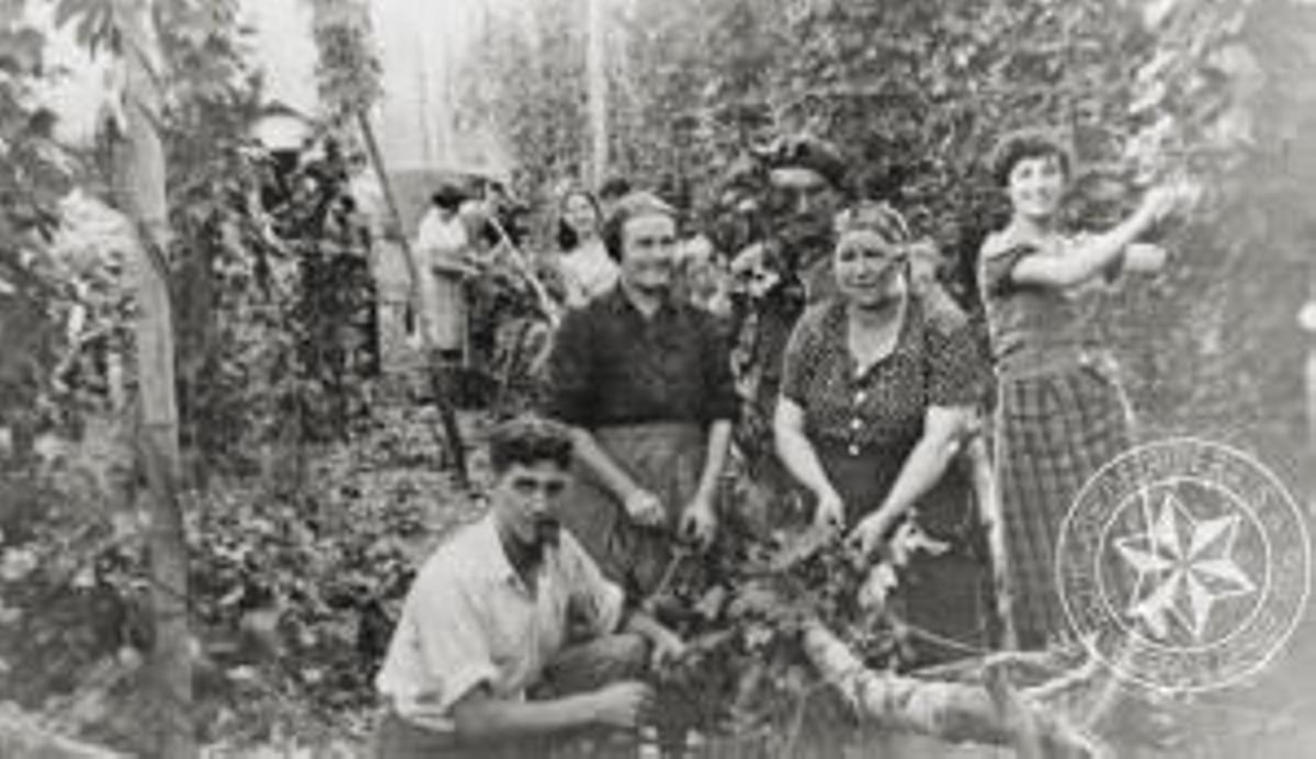 La cerveza gallega más ecológica