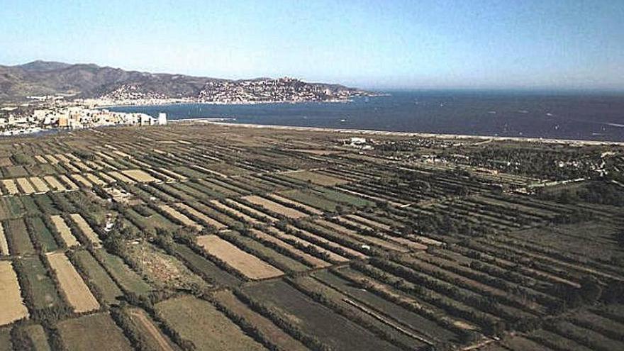 Una imatge d&#039;arxiu de la Rubina, de Castelló