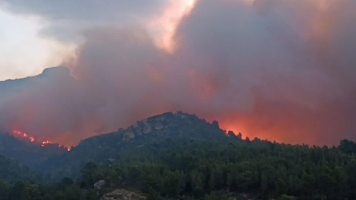 Vista del incendio en la zona del Bajo Ebro, en la provincia de Tarragona.