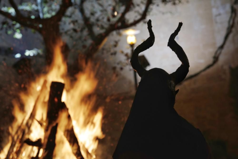 Auf der Plaça Major von Sa Pobla stieg am Montag (16.1.) zu Sant Antoni ein Spektakel mit Musik und Feuerwerk. Traditionalisten bemängeln hier zwar ein unnötiges Aufbauschen zum Event, dem regen Zulauf aber tat das auch diesem Jahr keinen Abbruch.