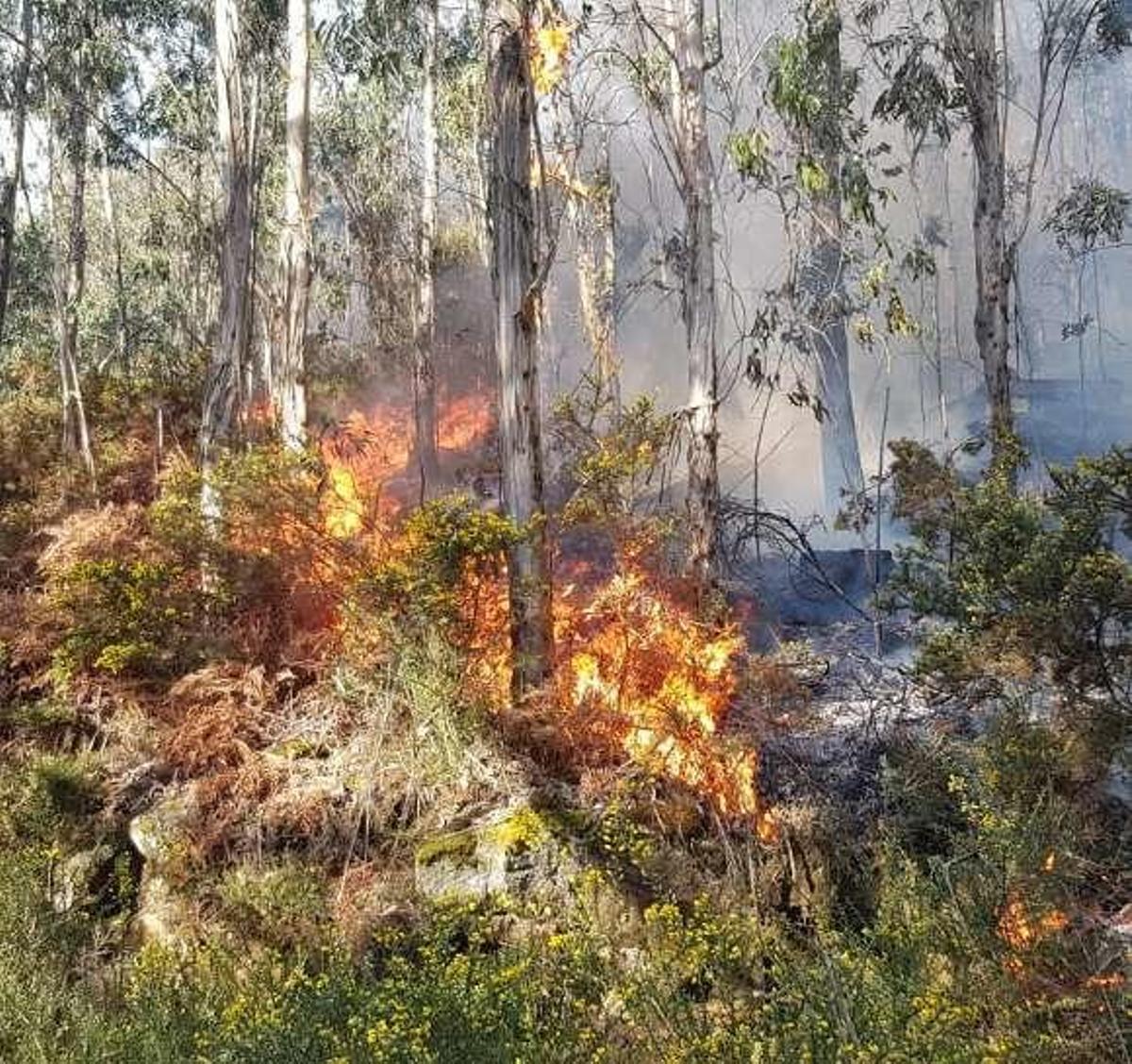 Un agente forestal, herido y cerca de cien hectáreas quemadas en el incendio de Boiro