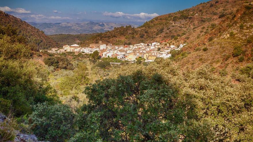 Alcornocales de la Serra d&#039;Espadà