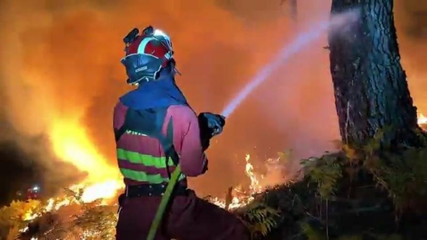 La patronal extremeña pide cambiar la política forestal tras el incendio de Las Hurdes: «No podemos ...