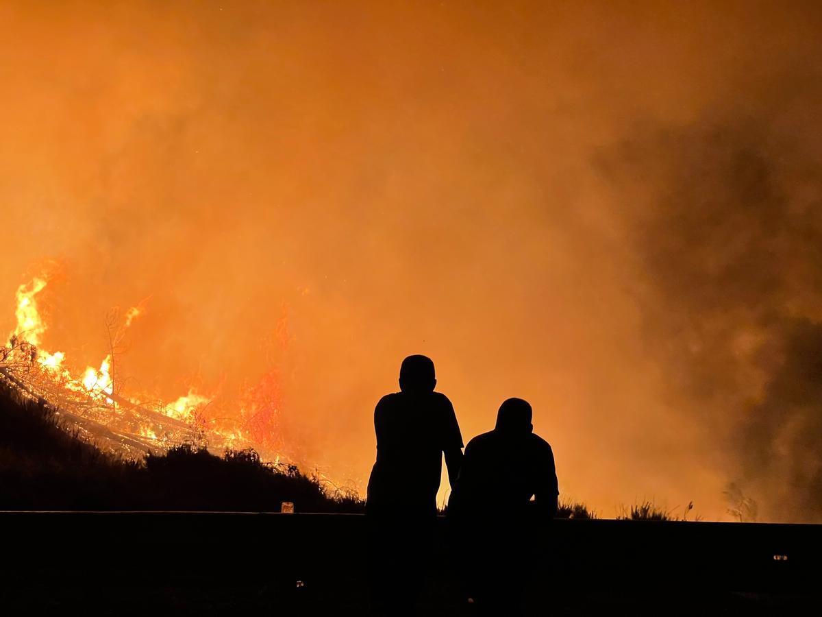 Las partículas de humo de los incendios forestales parecen erosionar la capa de ozono