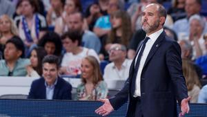 Chus Mateo, entrenador del Real Madrid de baloncesto