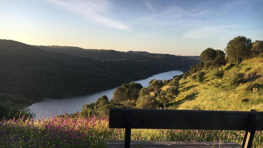 La ruta de agua que nace en el Aljarafe y acaba en los lagos más famosos de Sevilla: con miradores, pozas y vegetación salvaje