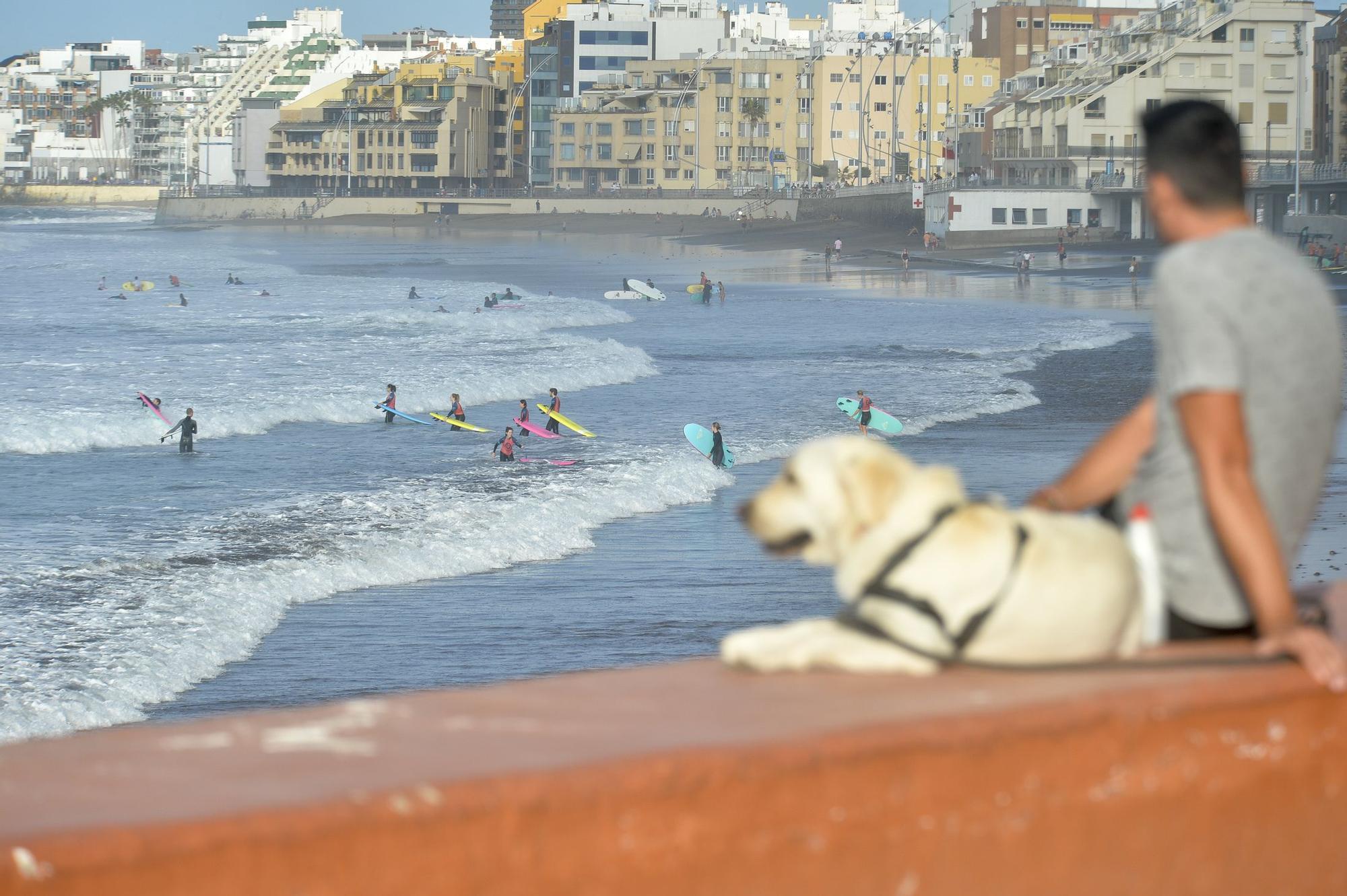 Olas en la Cícer (9/11/22)