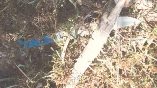 El crimen de Halloween de Murcia cumple un año con el arma bajo sospecha sin analizar