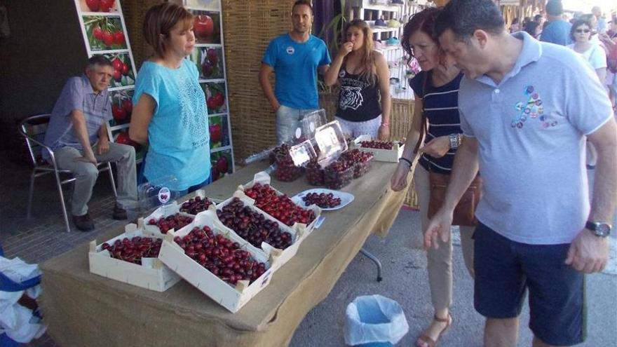 Las mejores cerezas de la provincia, en la Salzadella y Caudiel