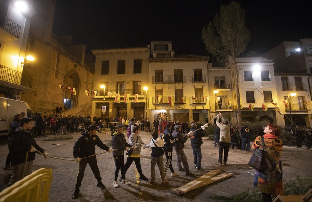 Sant Antoni arranca en Sagunt con la tradicional Plantà del Pi