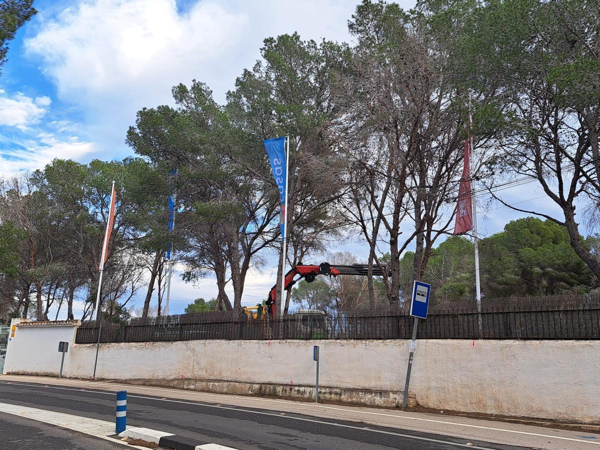Las banderolas y el brazo de uno de los camiones que han entrado en los terrenos