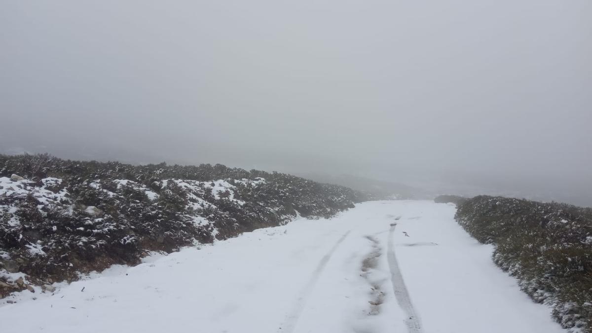 Nieve en la sierra de Porto de Sanabria