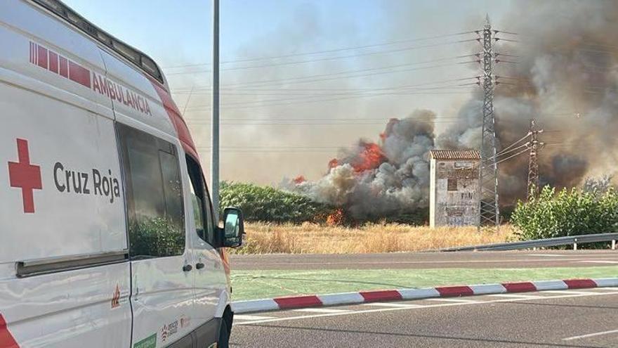 Vídeo | Incendio forestal a la entrada de Badajoz