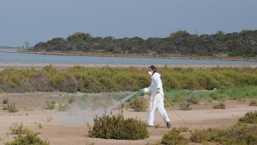 Tratamiento contra los mosquitos.