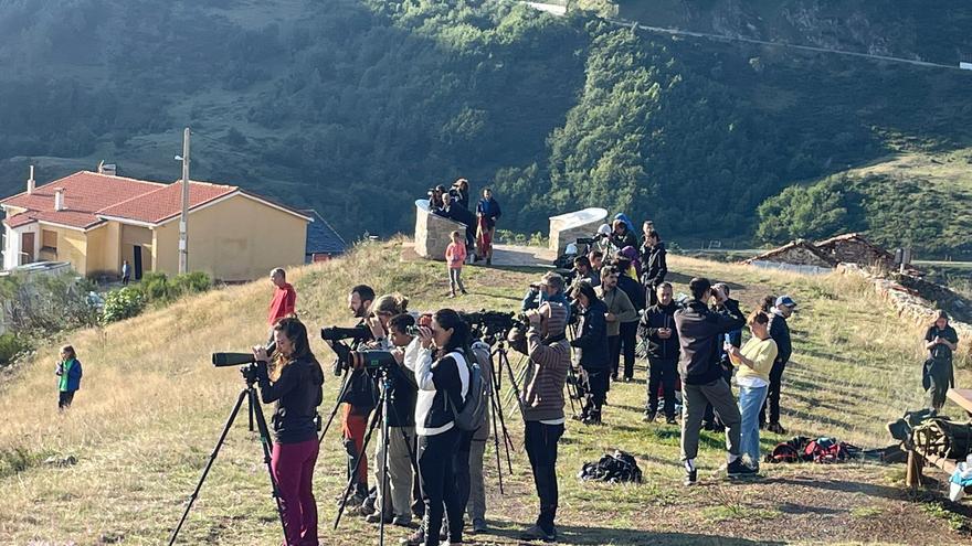 Somiedo se llena de visitantes para disfrutar del &quot;privilegio&quot; de ver al oso pardo en libertad