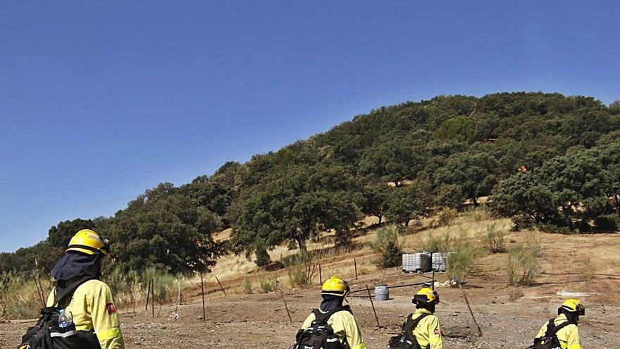 Miembros de un retén del Infoca que intervino en el fuego de Villaharta. | A.J.GONZÁLEZ