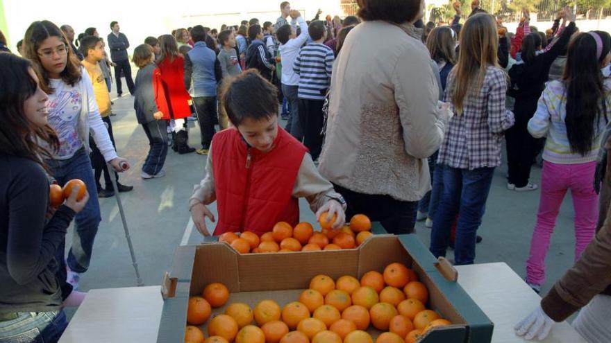 El Consell gastará 1,4 millones en fruta ecológica y de proximidad para colegios