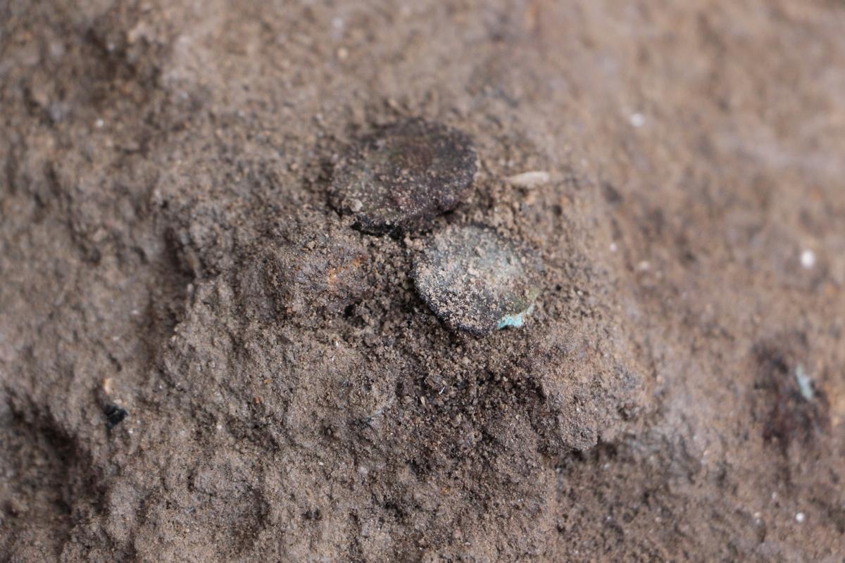 Una de las monedas que formaba parte del primer grupo de una treintena de piezas halladas en las excavaciones en Ons en 2021.