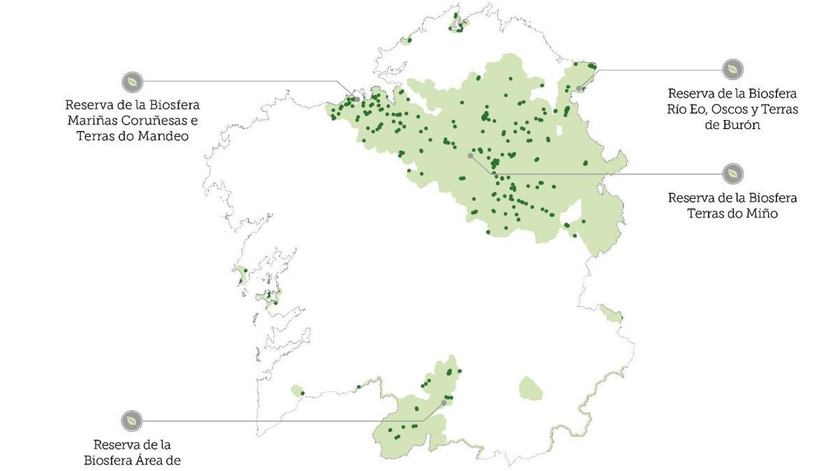 Gráfico que muestra la recogida de aceites usados en zonas rurales en Galicia que están en espacios protegidos.
