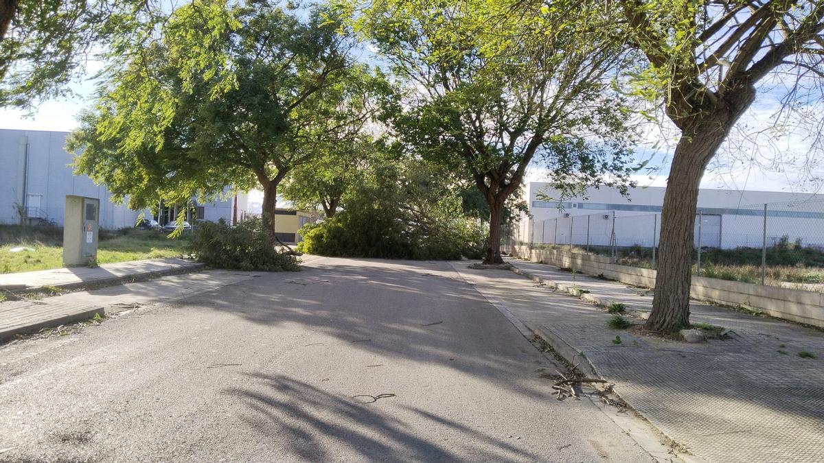 El temporal asociado a la borrasca Kristin ha dejado imágenes de impacto en Xàtiva, las rachas de viento han alcanzado niveles huracanados