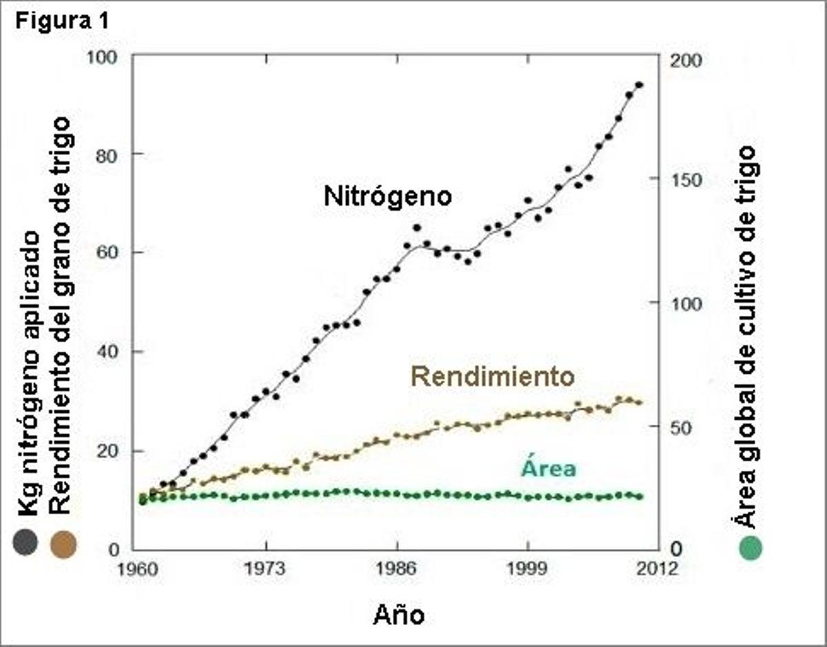 El nitrógeno de los fertilizantes ¿causa del aumento de la celiaquía?