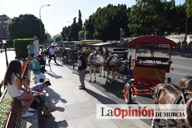 Ruta a caballo desde la ciudad al corazón de la hu