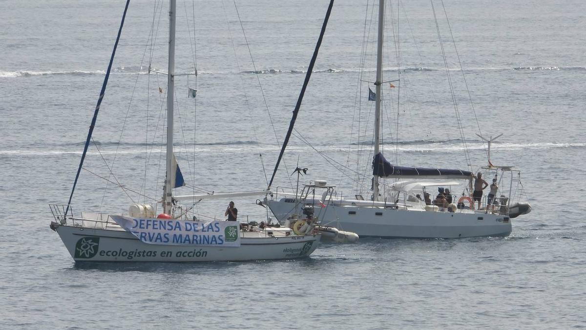 Los veleros Diosa Maat y el Mednight inspeccionaron la reserva marina del Cap de Sant Antoni