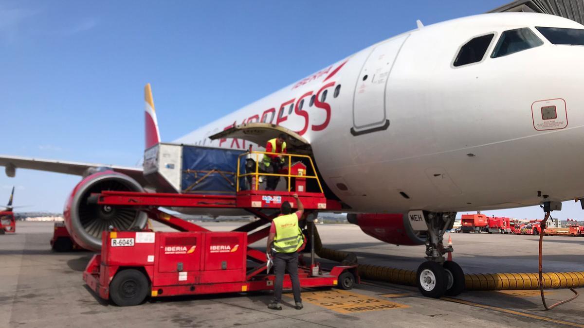 Trabajadores de Iberia Airport Services.