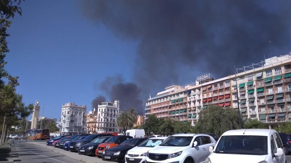 Incendio en l'Oceanogràfic de València