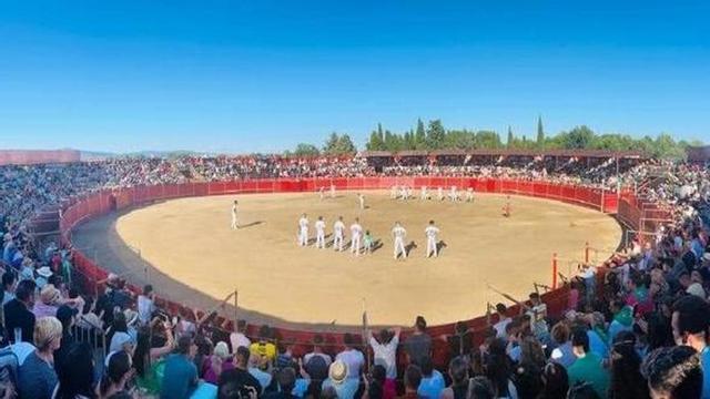 Concurso de recortes, en una edición anterior en Moraleja.