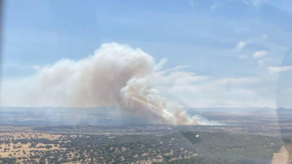 Incendio forestal en Valdecaballeros.