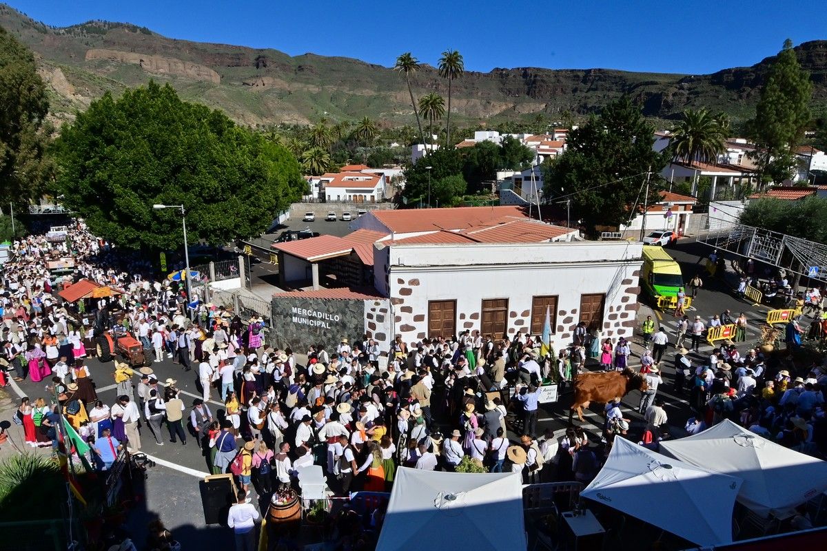 Romería Labradores 2022