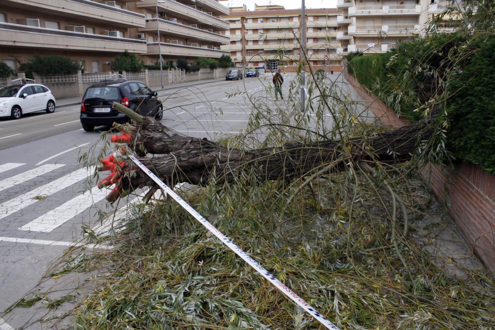 Efectes del temporal al passeig de Blanes