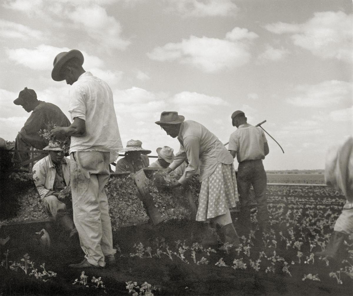 Tennessee, 1950