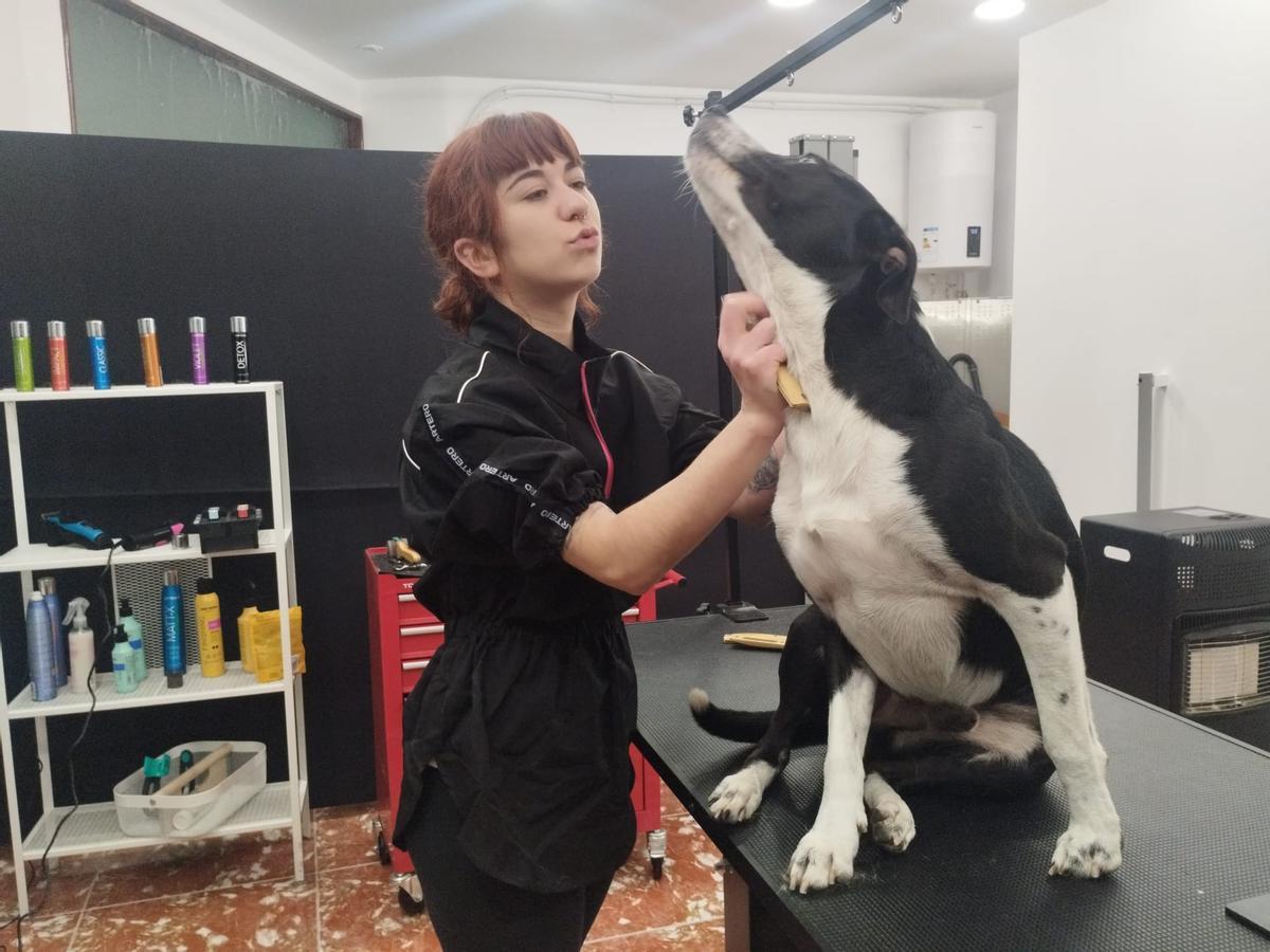 La nueva peluquería canina de Grado, en imágenes