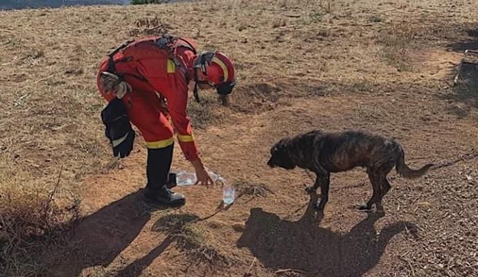 Incendio en Cazadores (12/08/19)