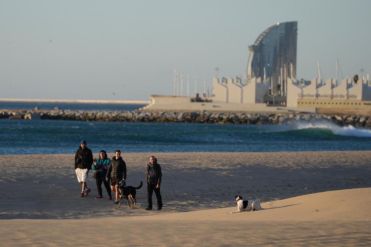 Storm Nils Barcelona - Impact of Storm Nils on Barcelona's beaches and coastal areas.