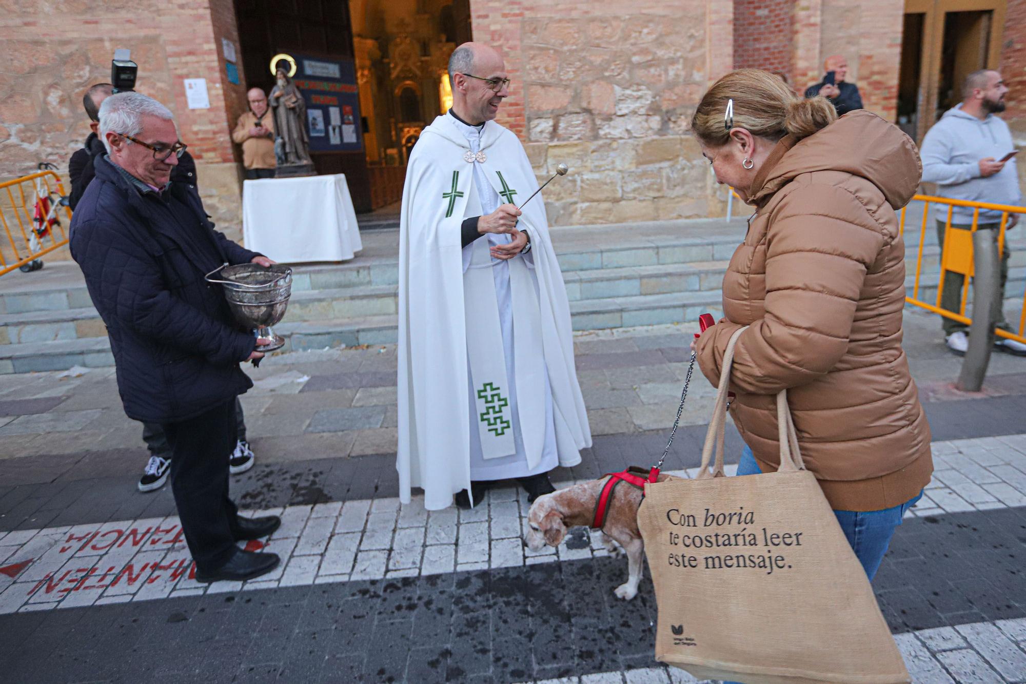 Bendición de San Antón en Torrevieja