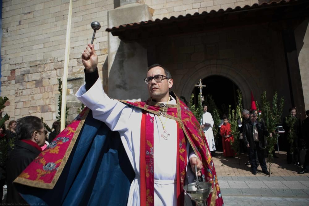 Semana Santa 2018: Procesión de palmas Villaralbo