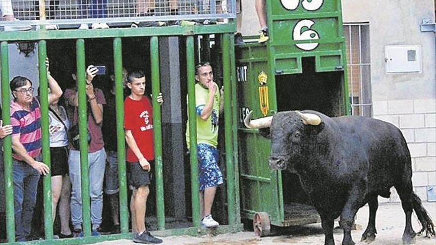 Figueroles celebra la jornada festiva con más actos taurinos