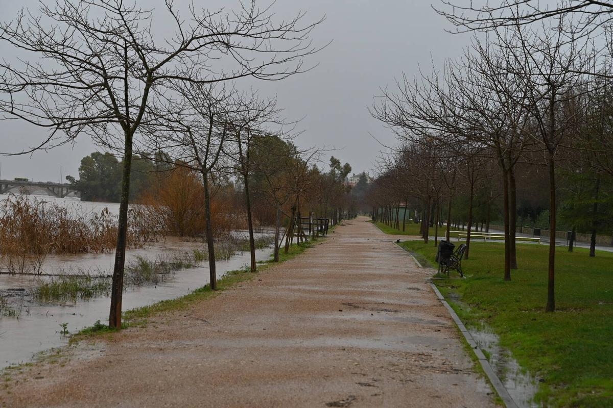 Fotogalería | Imágenes del temporal en Badajoz, este sábado