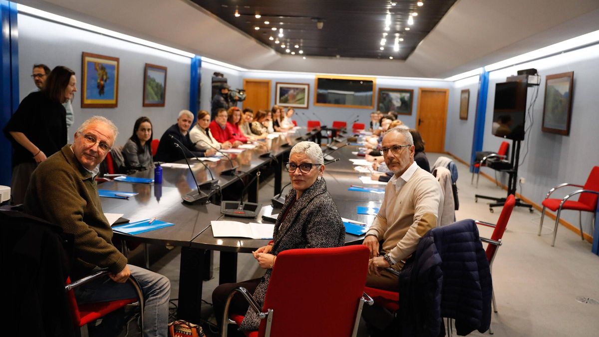 La consejera de Salud, Conchita Saavedra, en el centro, en la sesión constitutiva del Foro de la Salud Mental del Principado.