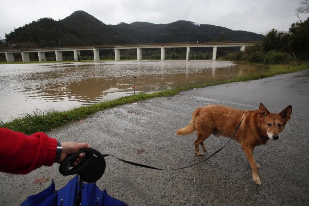 El río Nalón, en Pravia