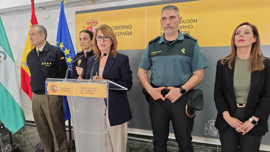 Un momento de la comparecencia de la subdelegada del Gobierno de Córdoba.