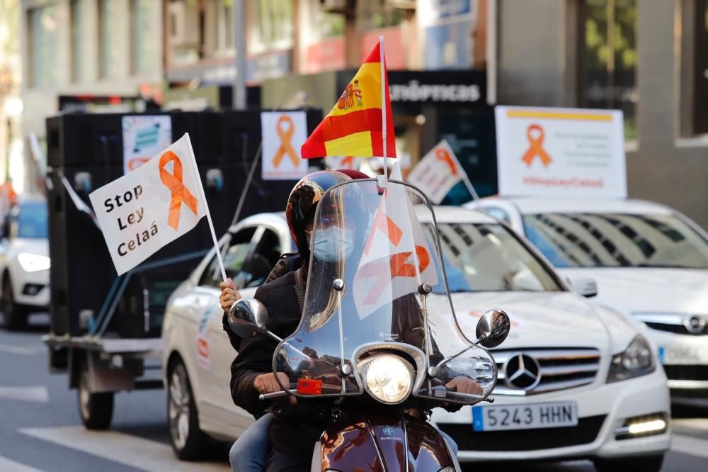 Miles de murcianos protestan en las calles contra la ley Celaá