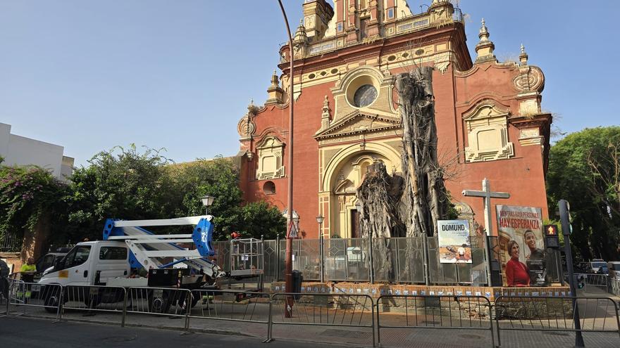 Una nueva plaza sin ficus en la iglesia de San Jacinto: contará con azulejos sobre hermandades y un nuevo cerramiento